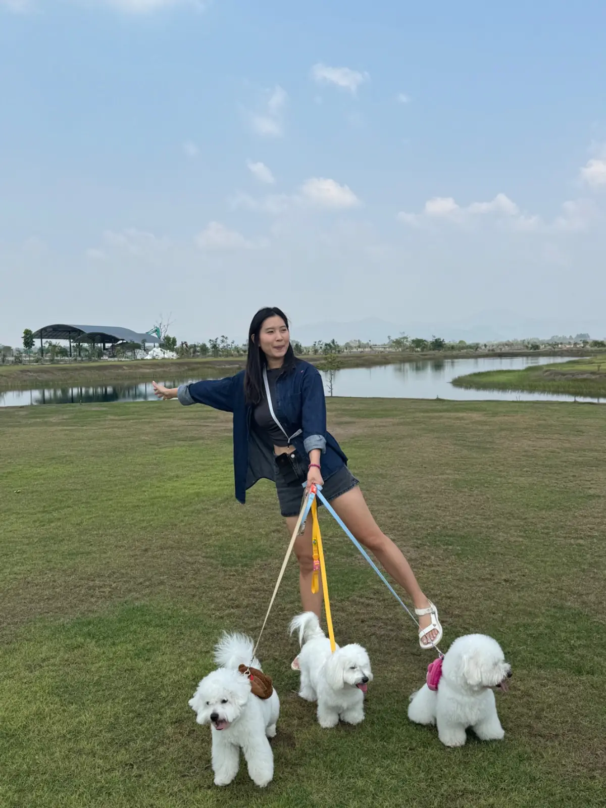 Ogee Coffee Space - Nakhon Nayok pets image 5