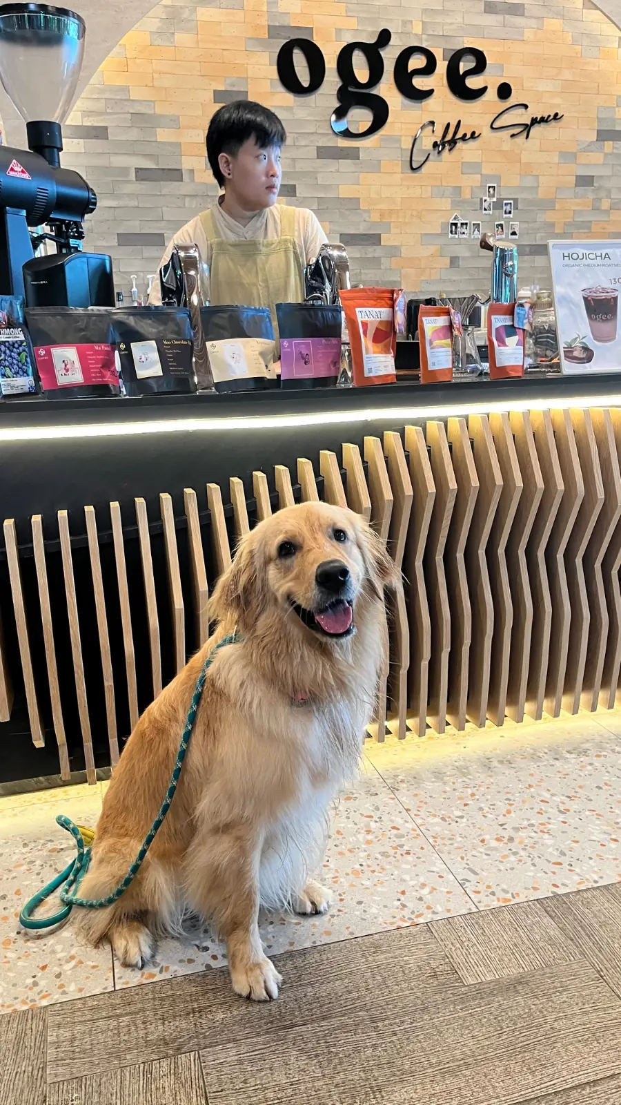 Ogee Coffee Space - Nakhon Nayok pets image 19