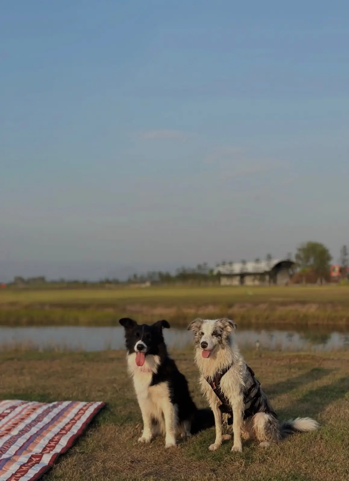 Ogee Coffee Space - Nakhon Nayok pets image 9
