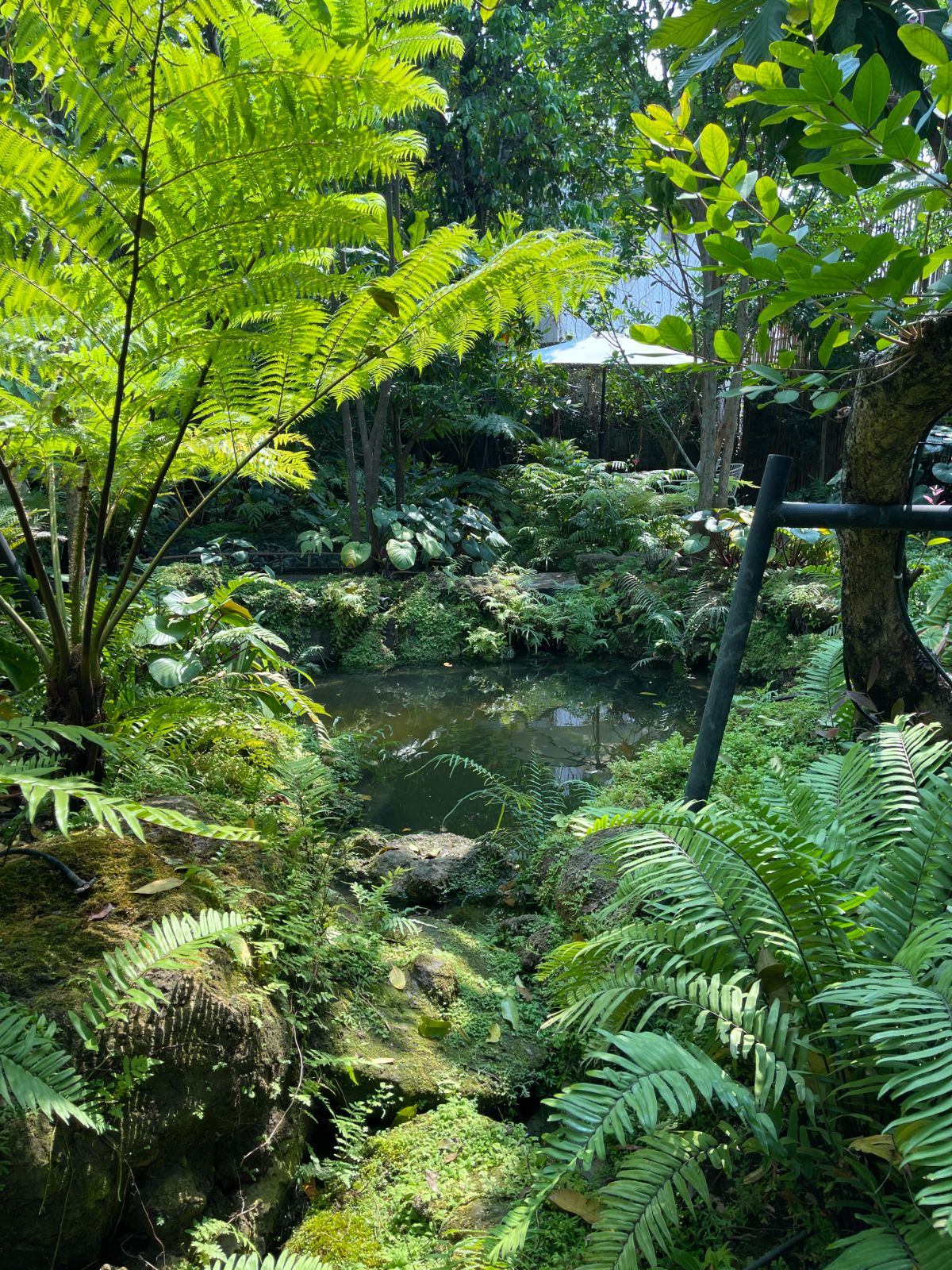 Lae Cher de Cafe ambiance image 1