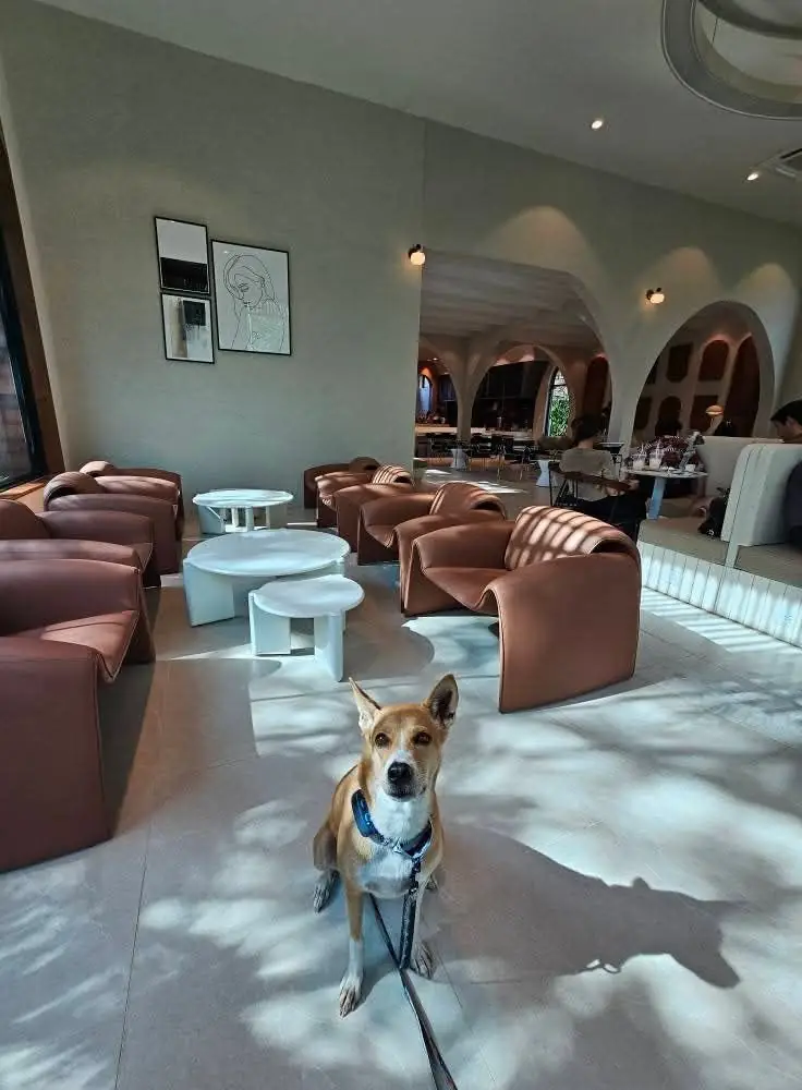 Norch Cafe pets image 1