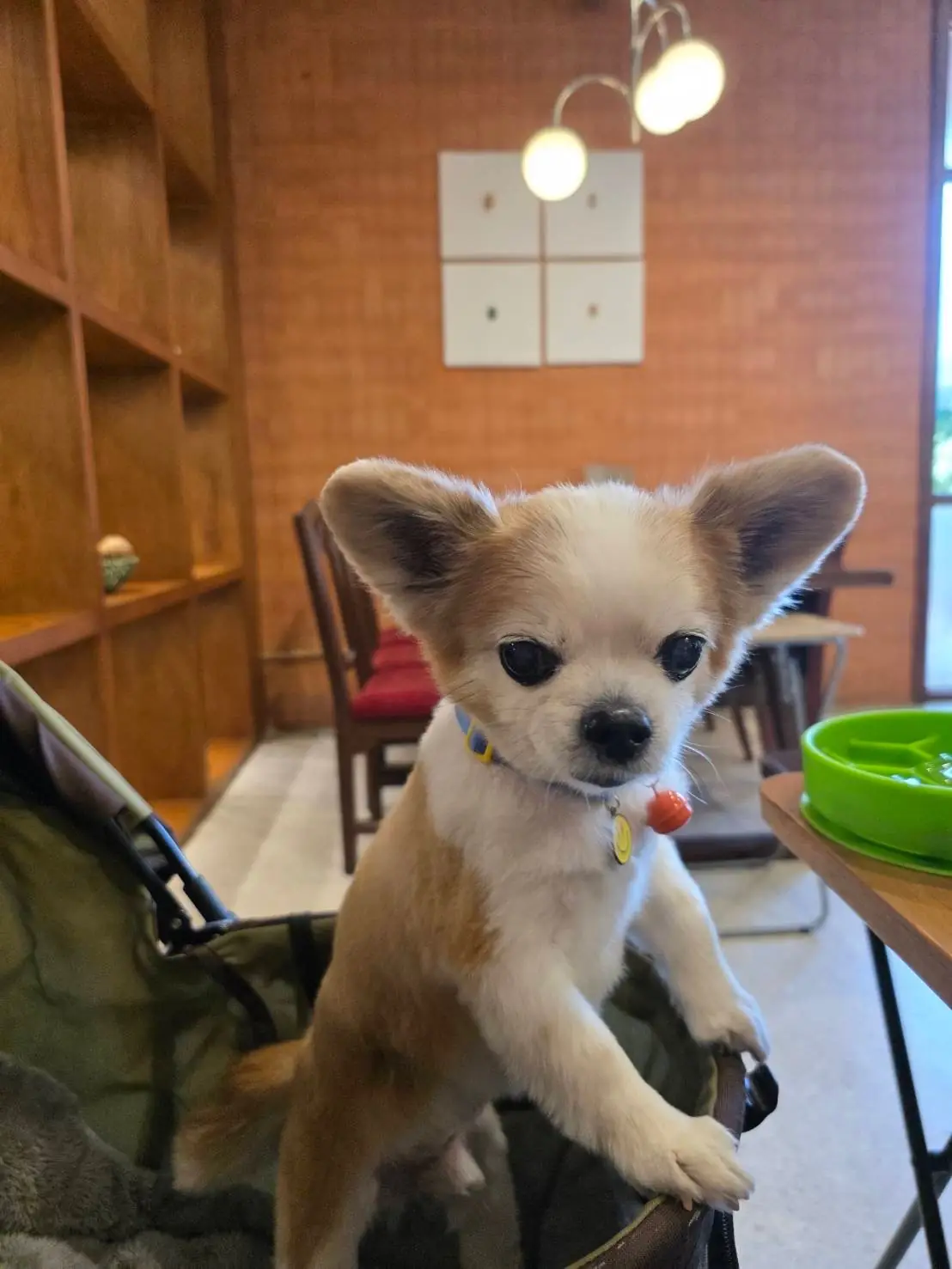 GROOT hotpot cafe other image 1