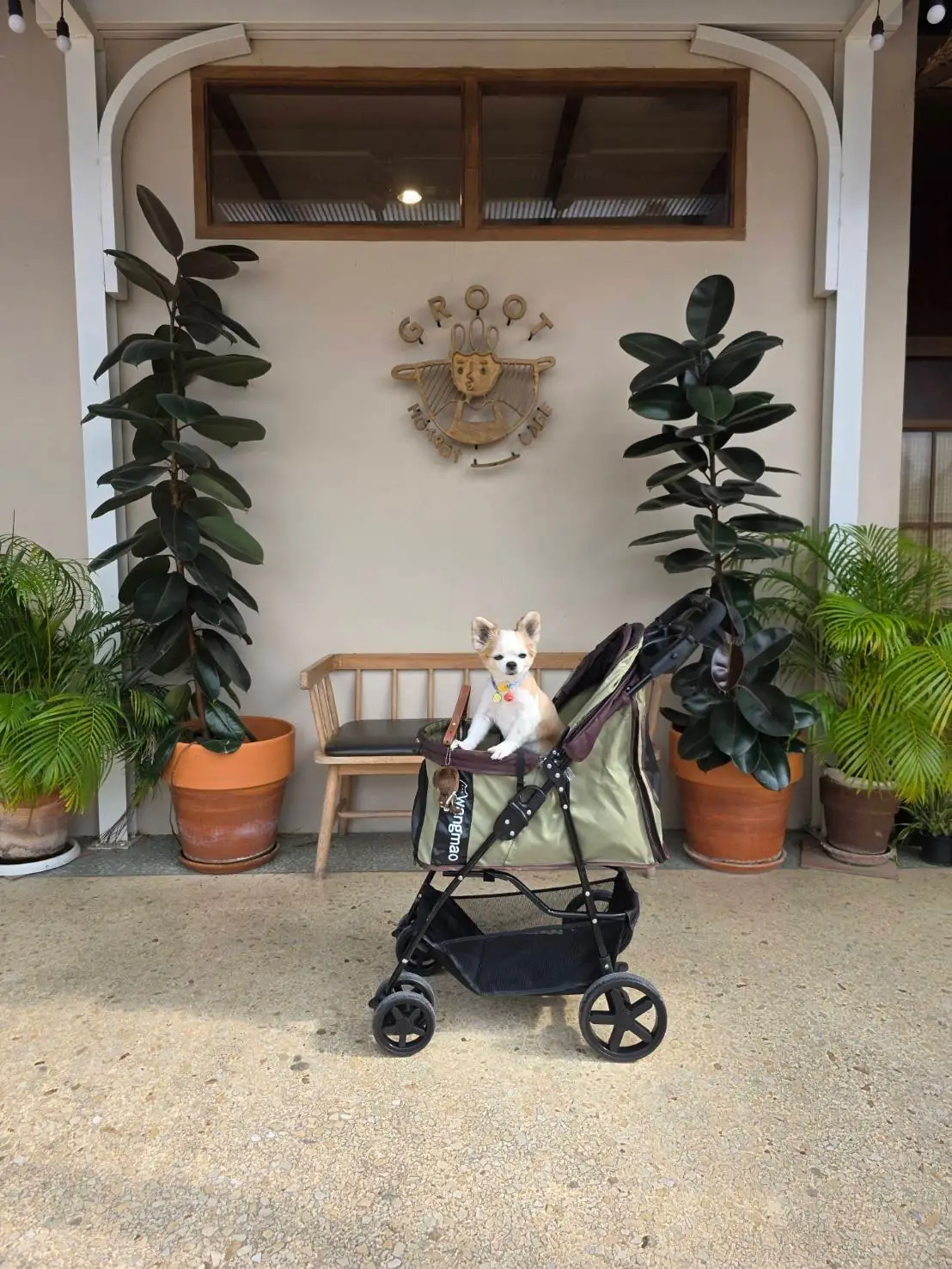 GROOT hotpot cafe other image 2