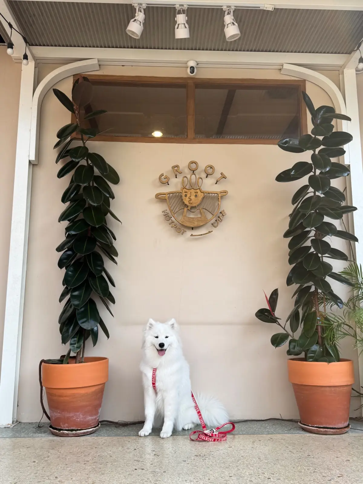 Groot Hotpot Cafe pets image 4