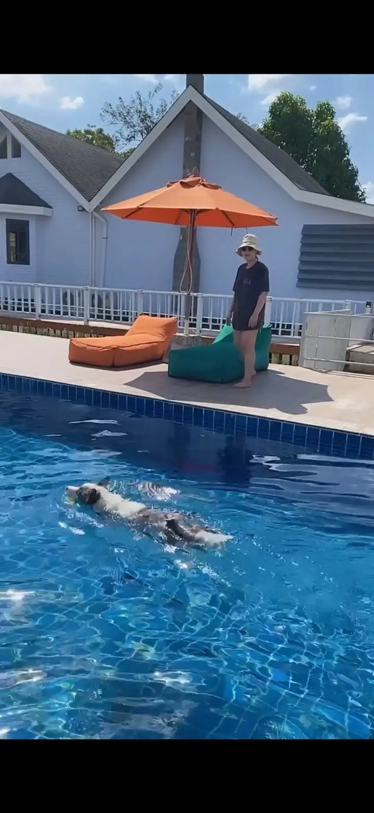 For Paws Dog Camp amenities image 2