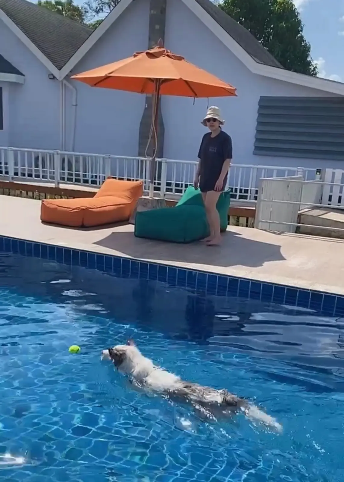 For Paws Dog Camp amenities image 4