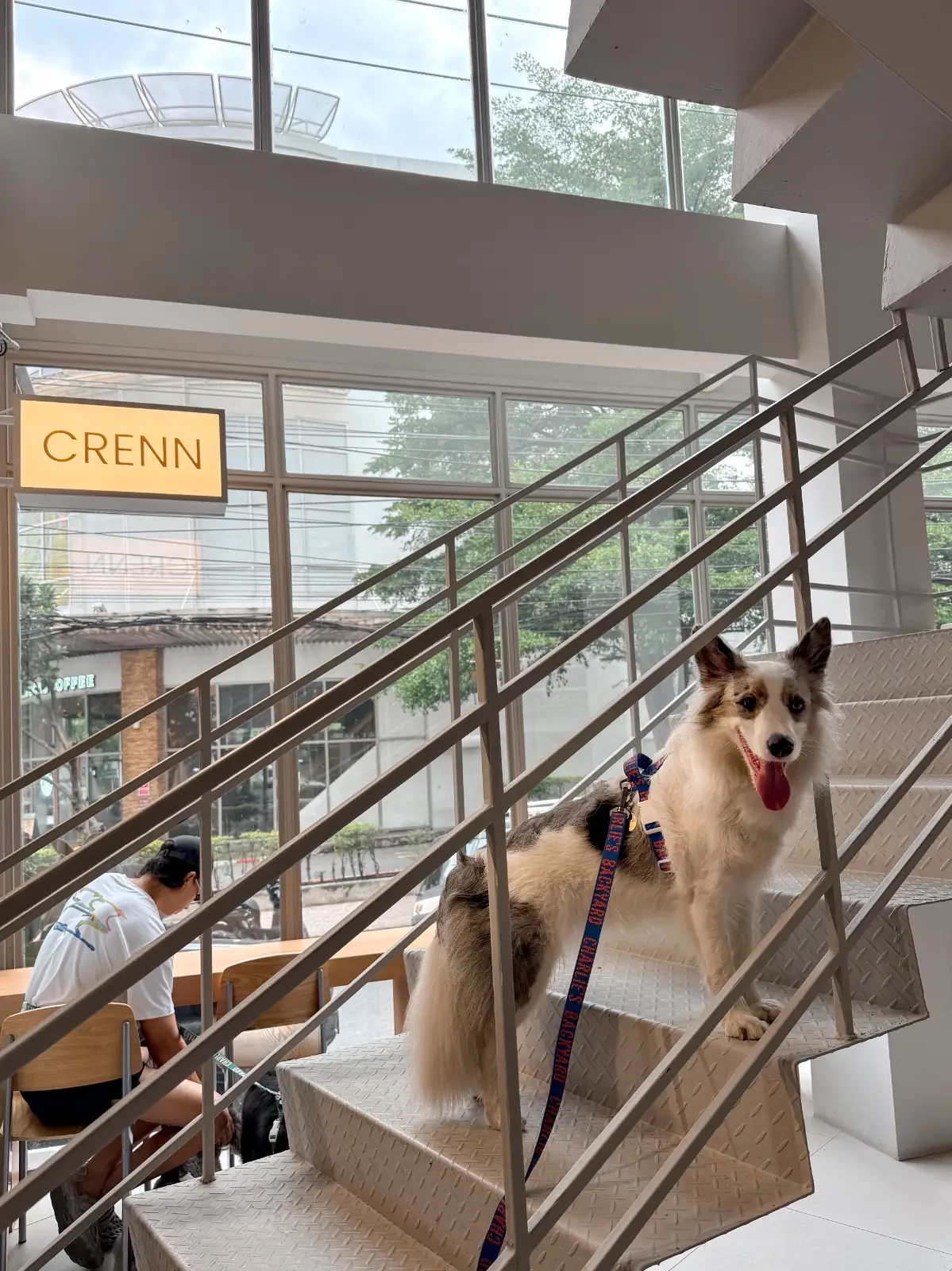 CRENN BKK overall image 4
