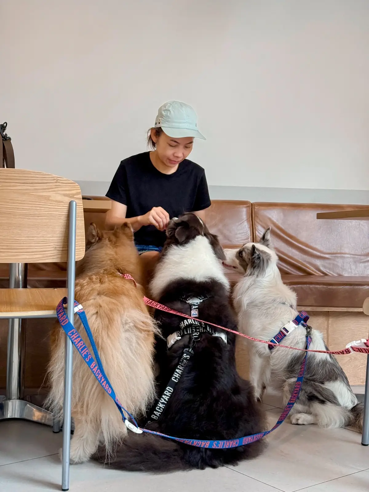 CRENN BKK pets image 7