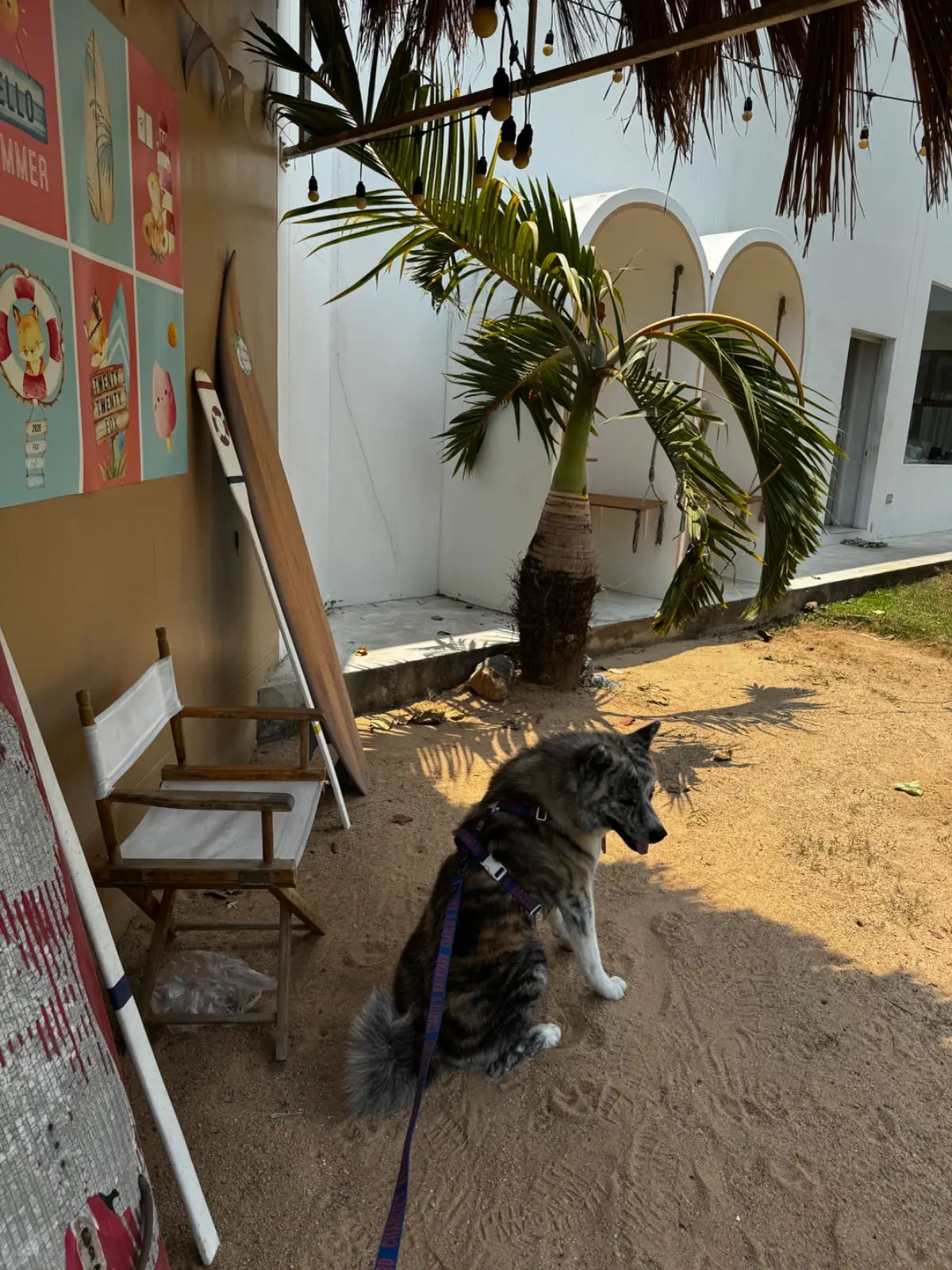 Twenty Twenty Fox overall image 2