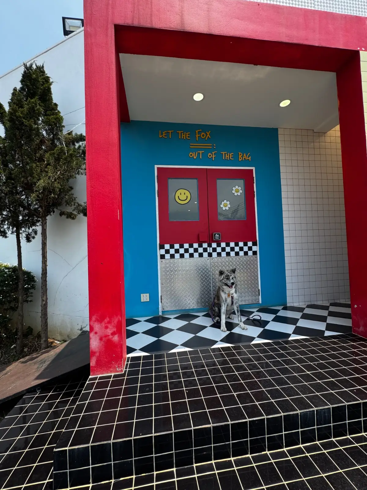 Twenty Twenty Fox overall image 3