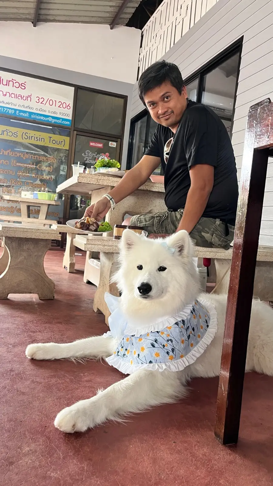 ร้านพงษ์โอชา 2 pets image 1