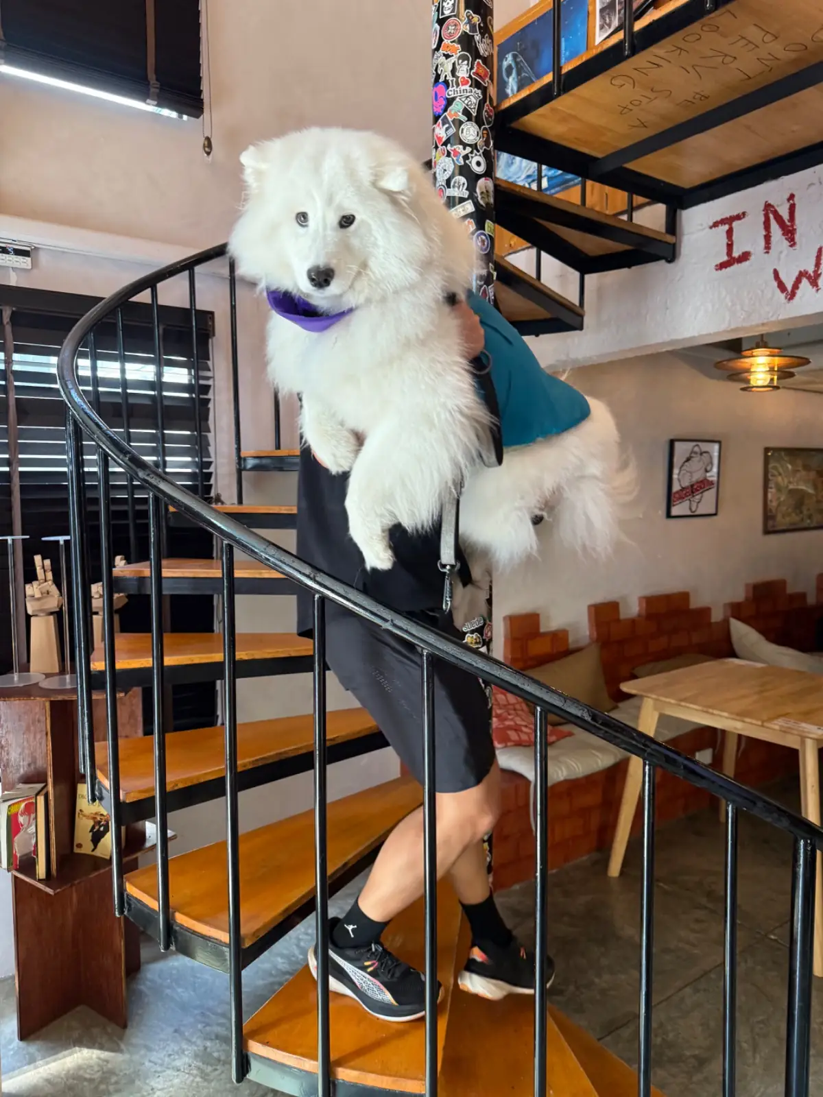 Two Men Bagel House - Sukhumvit pets image 2