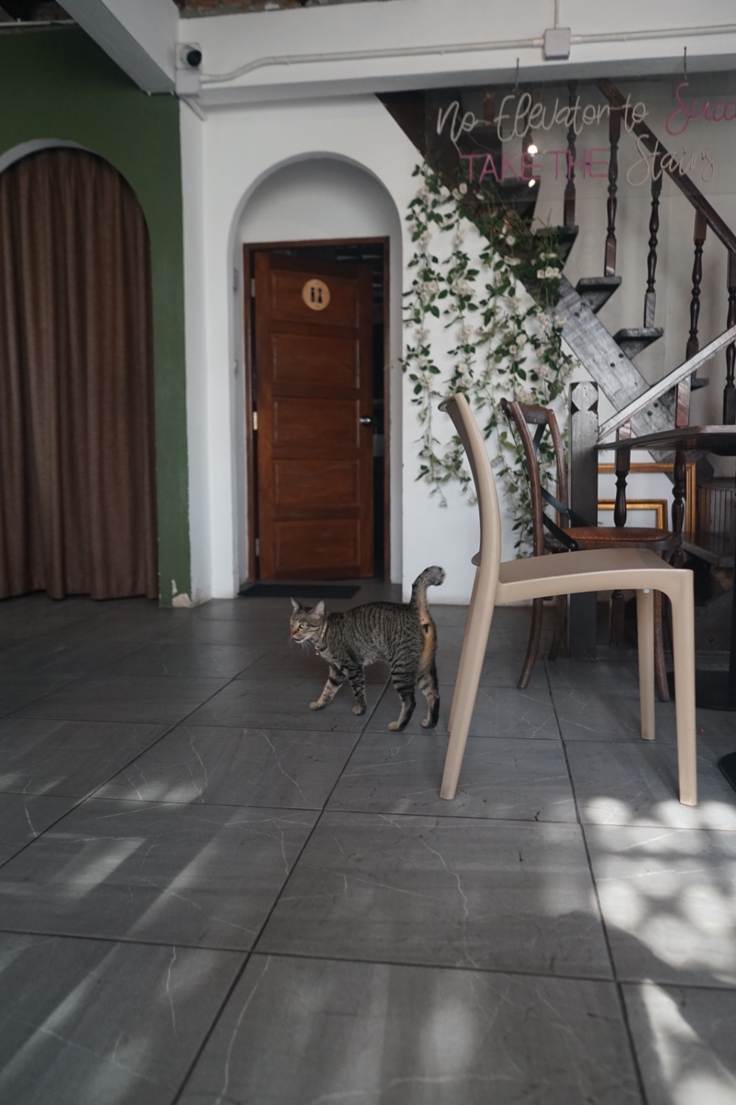 มิรู้โรย อีทเทอรี่ - Mirooroye Eatery pets image 5