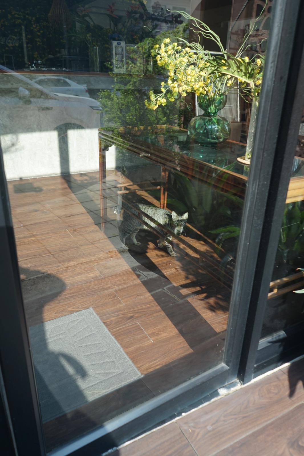 มิรู้โรย อีทเทอรี่ - Mirooroye Eatery pets image 4