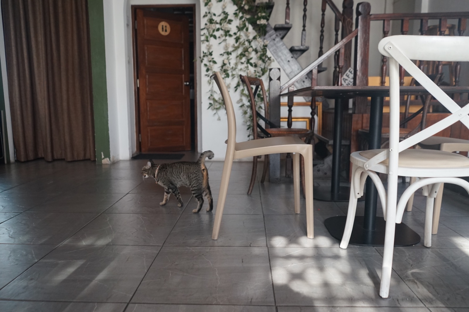 มิรู้โรย อีทเทอรี่ - Mirooroye Eatery pets image 3