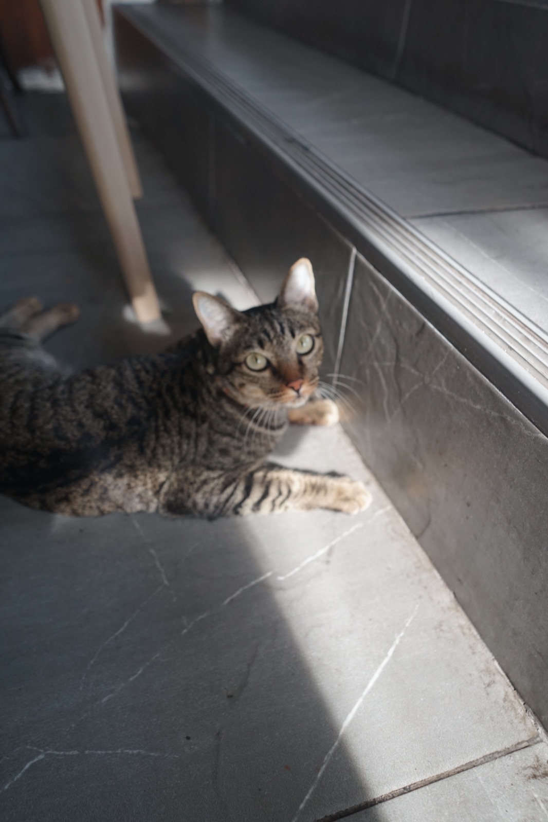 มิรู้โรย อีทเทอรี่ - Mirooroye Eatery hero image 2