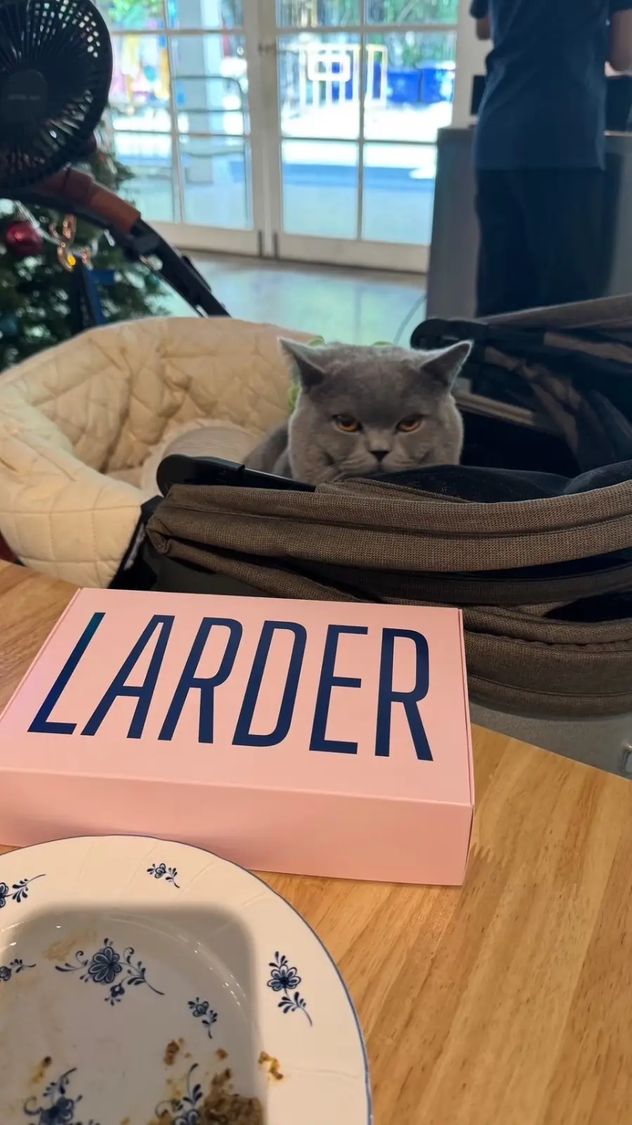 LARDER BKK pets image 1