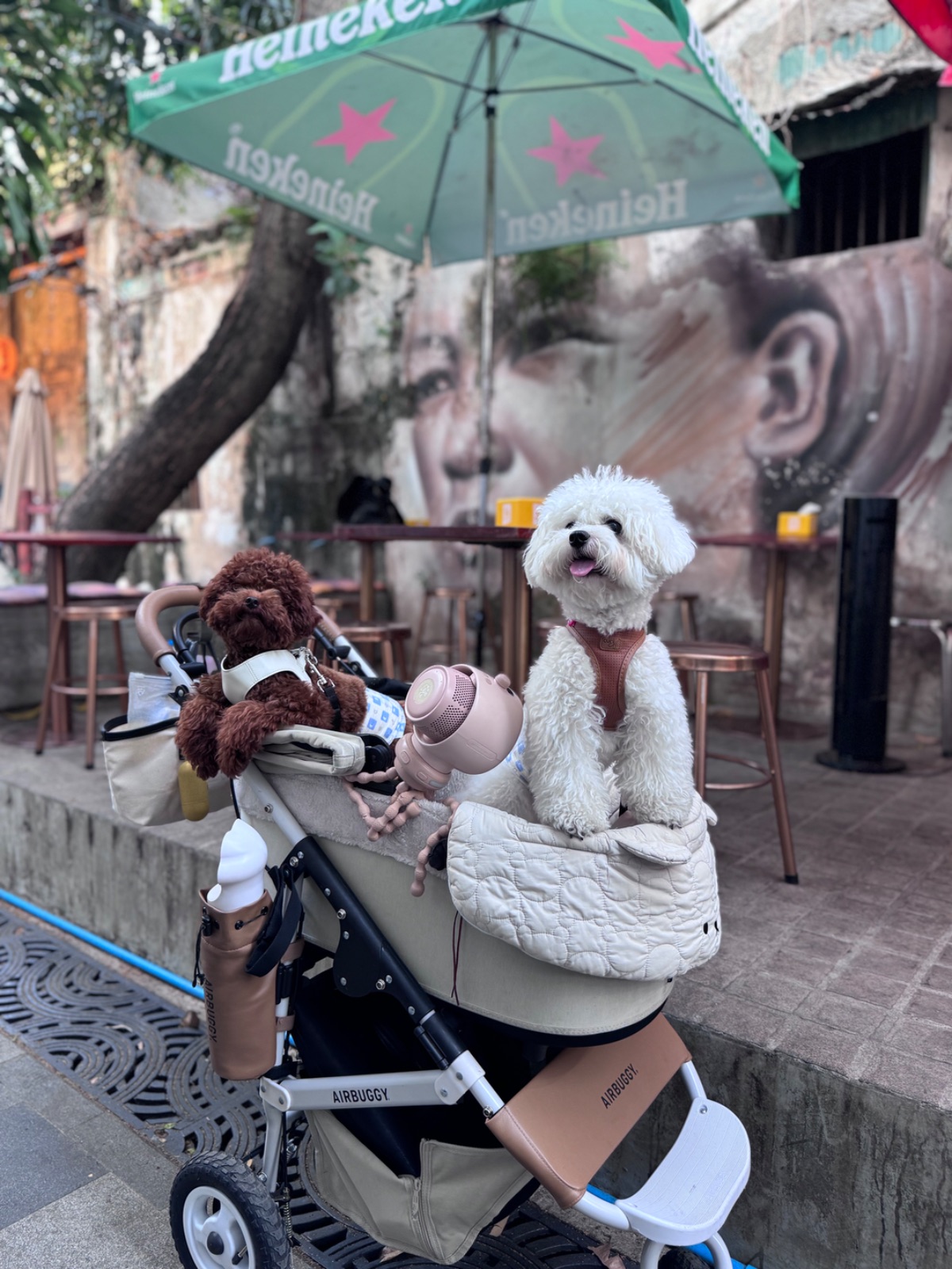 Soul’s Cafe pets image 2