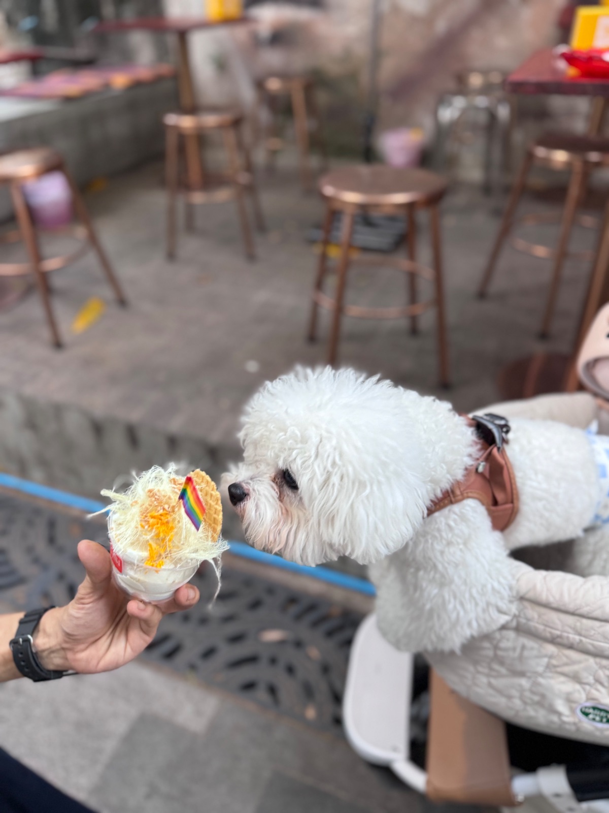 Soul’s Cafe pets image 1