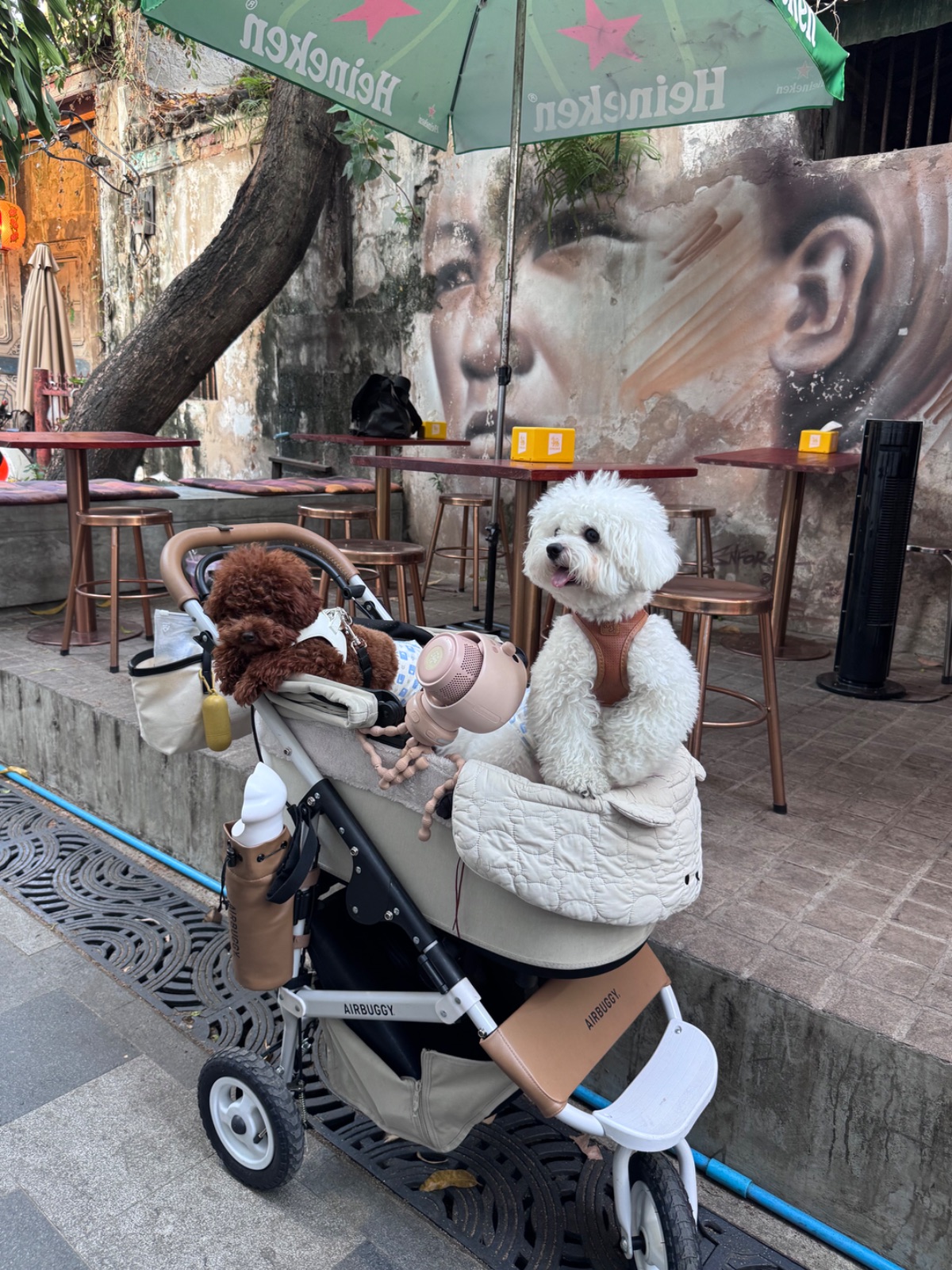 Soul’s Cafe pets image 3