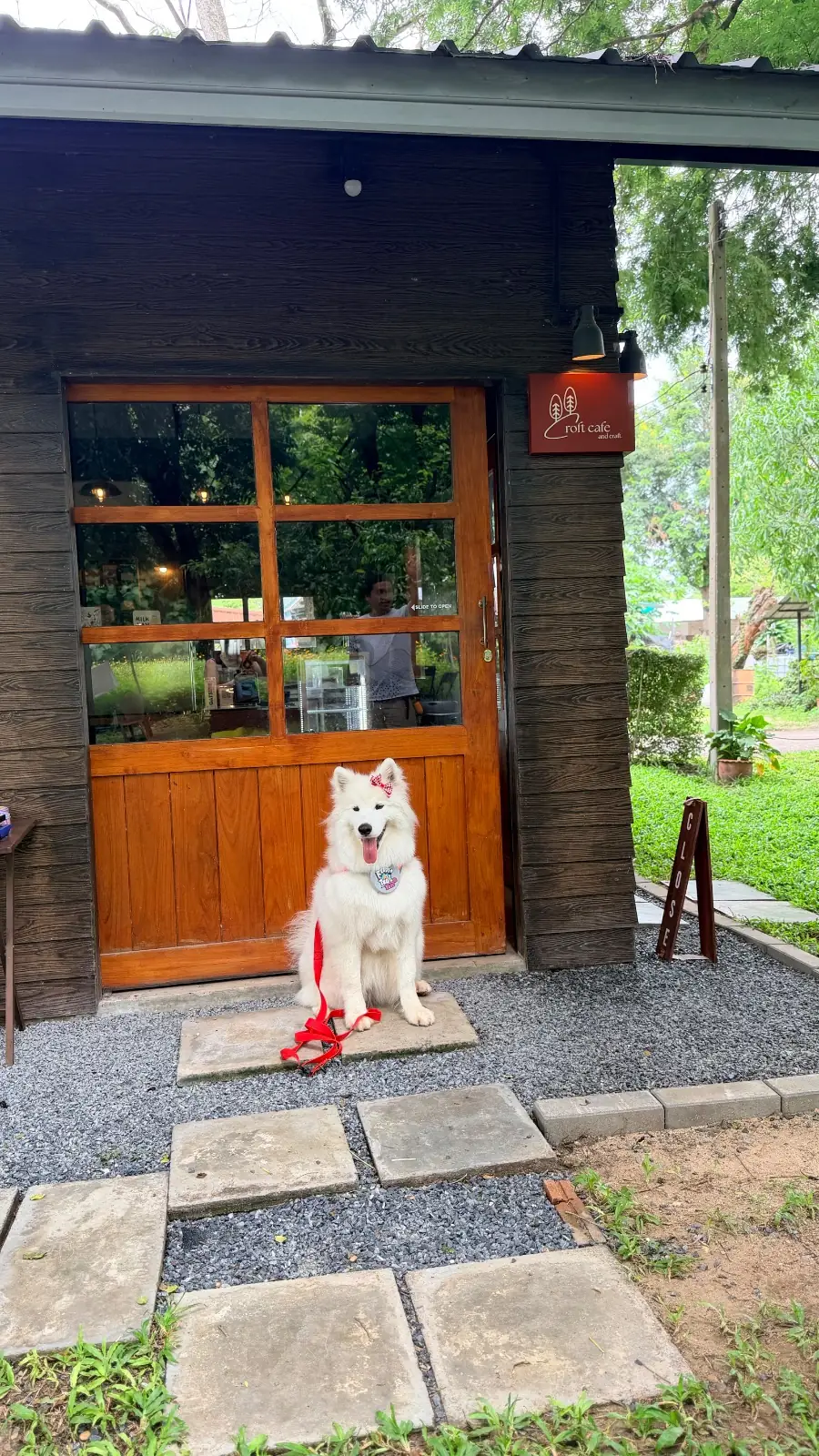 Croft Cafe and Craft pets image 1
