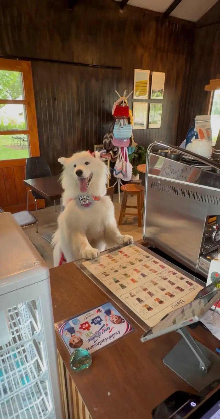 Croft Cafe and Craft pets image 6