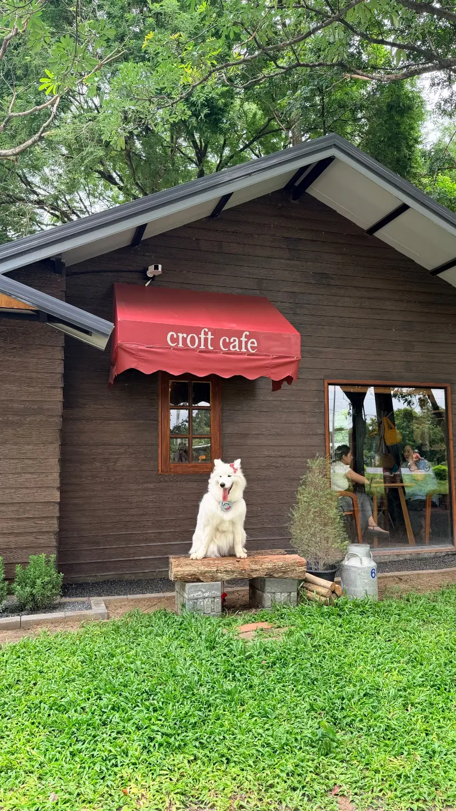 Croft Cafe and Craft pets image 2