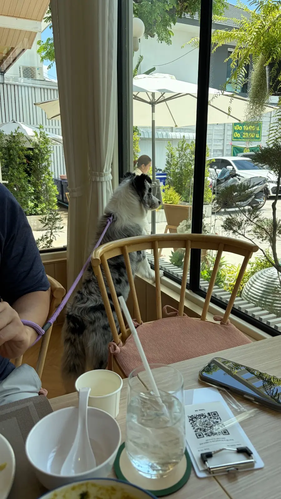 ครัวคุณหญิง pets image 1