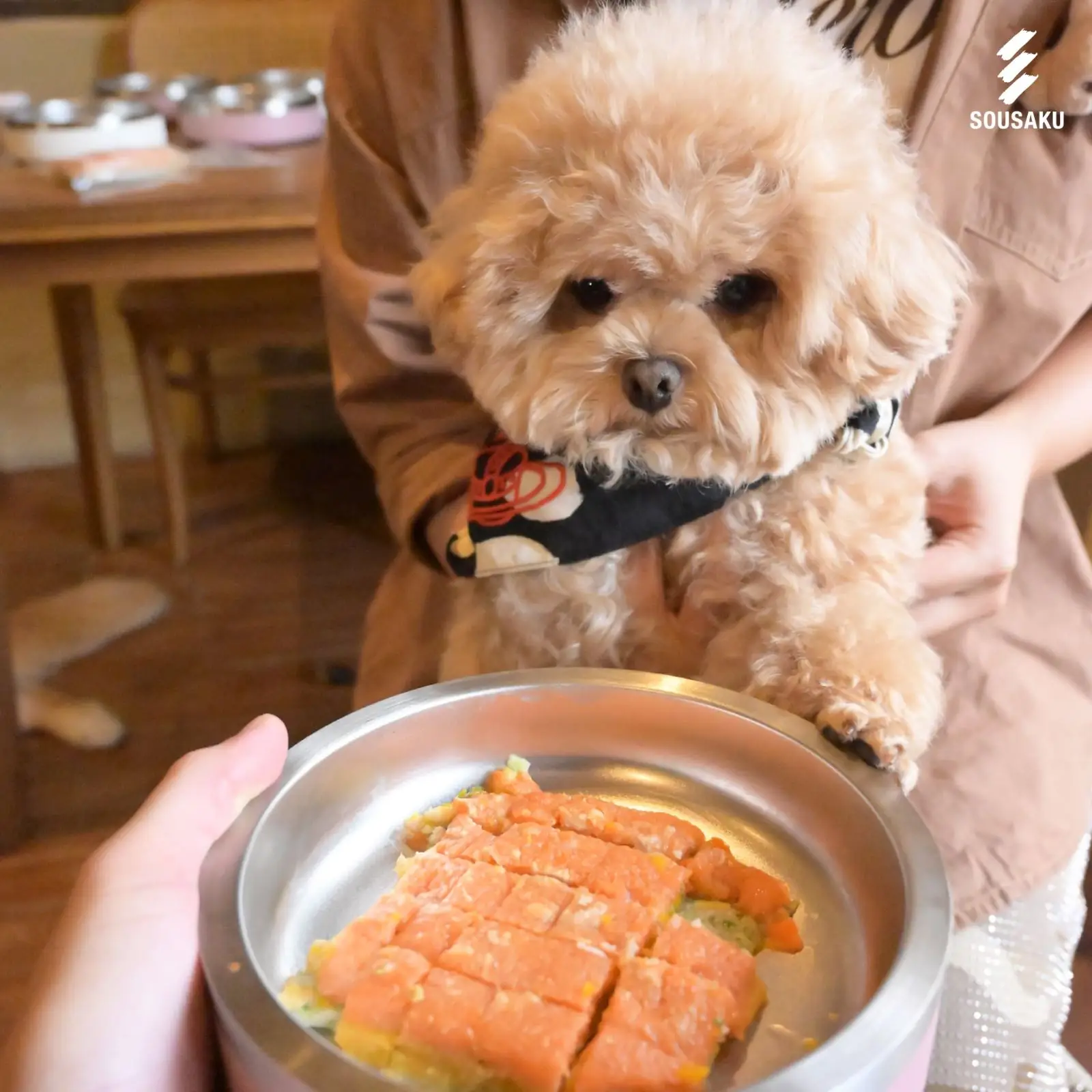 Sousaku Gourmet Shabu Buffet - Krungthep Kreetha pets image 1