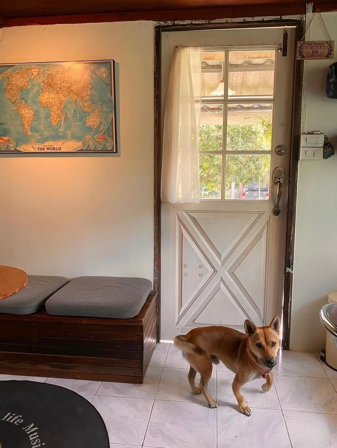 Murray’s Cnx pets image 2
