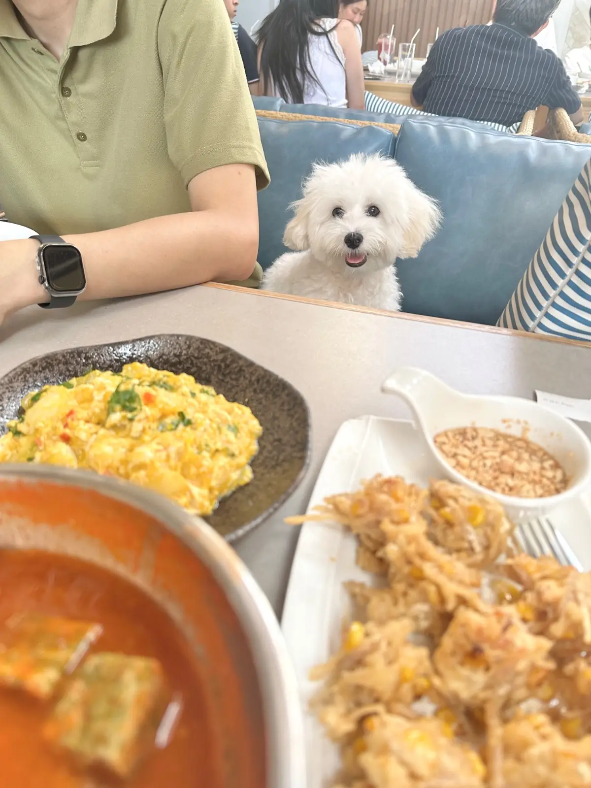 ครัวบางนา pets image 1