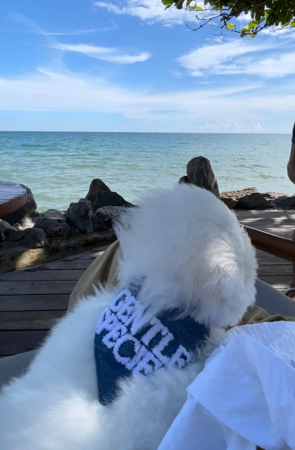 Mercure Rayong Lem Talay Villas and Resort pets image 1