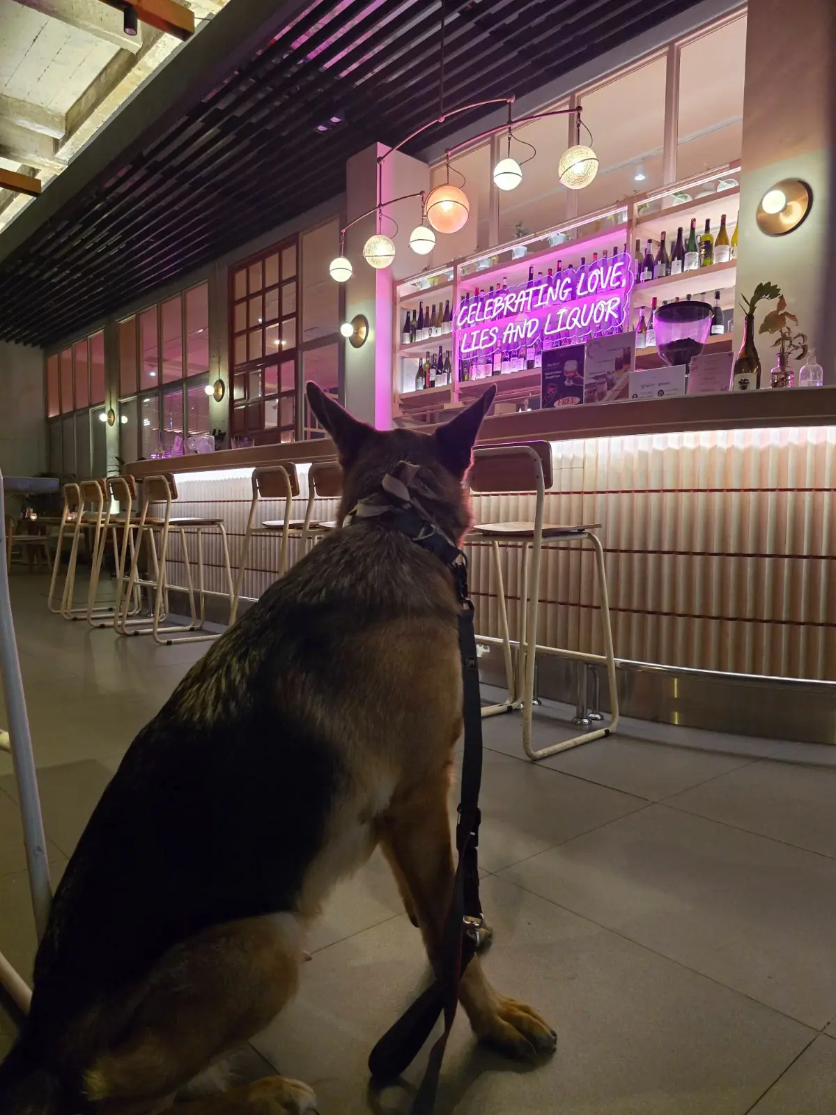 Baby Bar Bangkok overall image 2