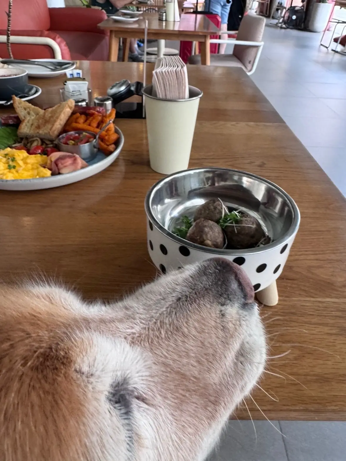 Baby Bar Bangkok food image 1