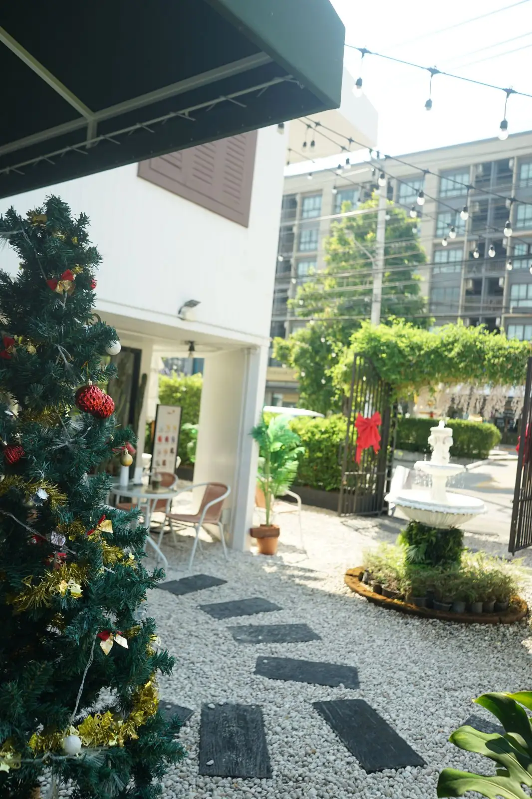 Maison de Siri Cafe & Eatery ambiance image 3