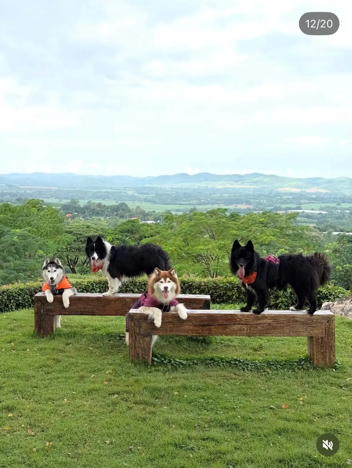ไร่ภูนับดาว pets image 7