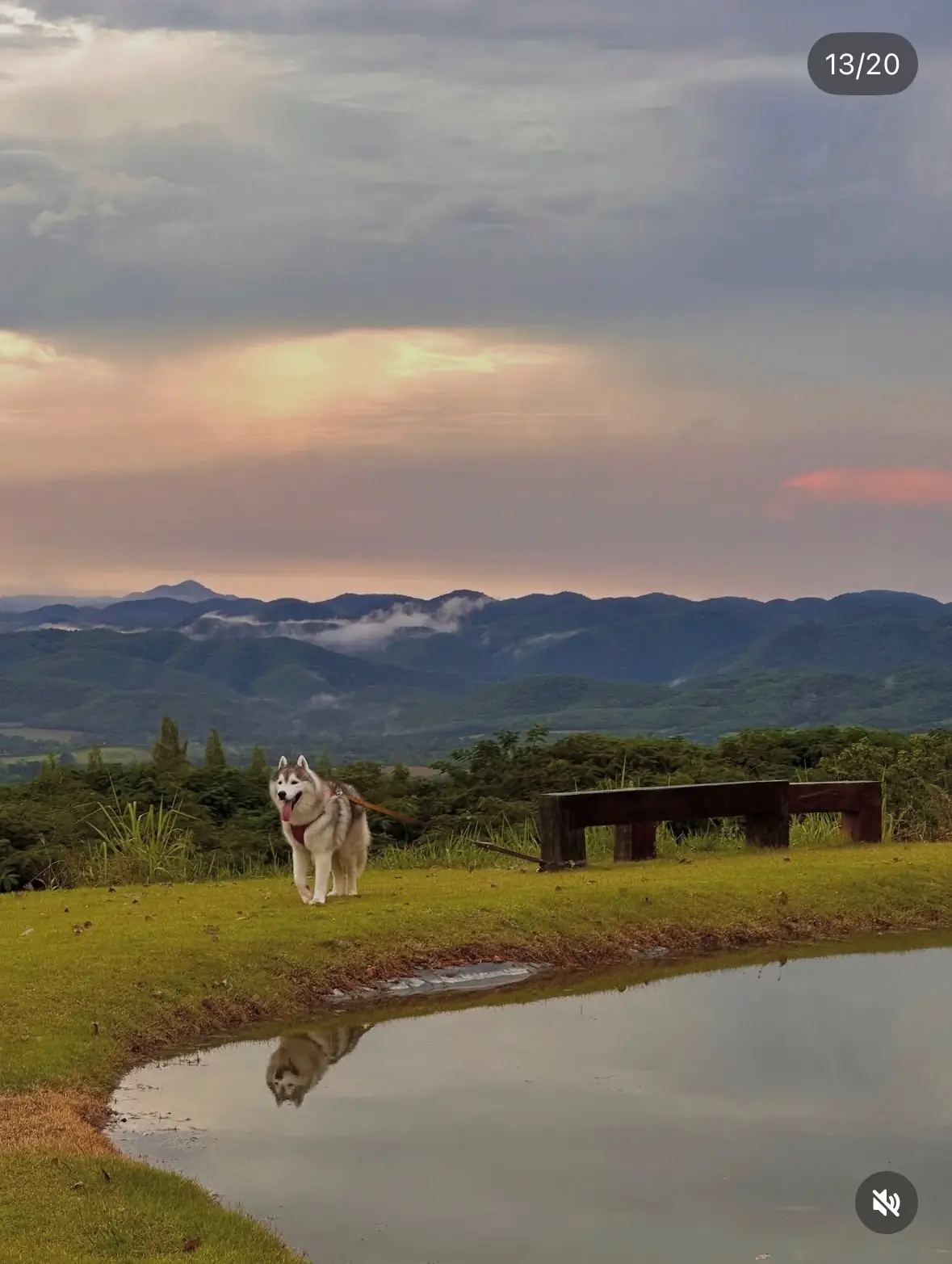 ไร่ภูนับดาว pets image 5