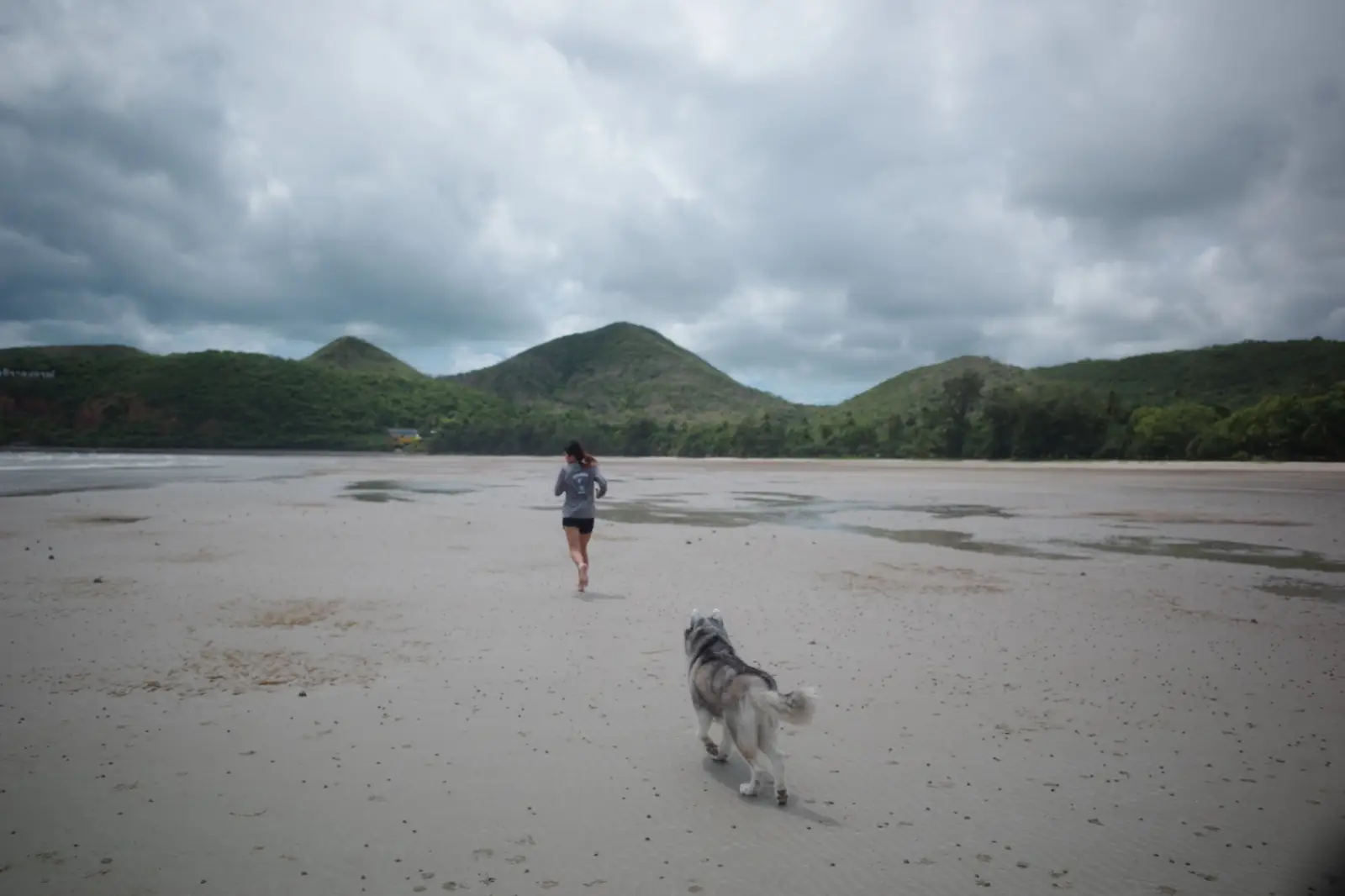 อ่าวนาวิกโยธิน หาดเตยงาม pets image 3