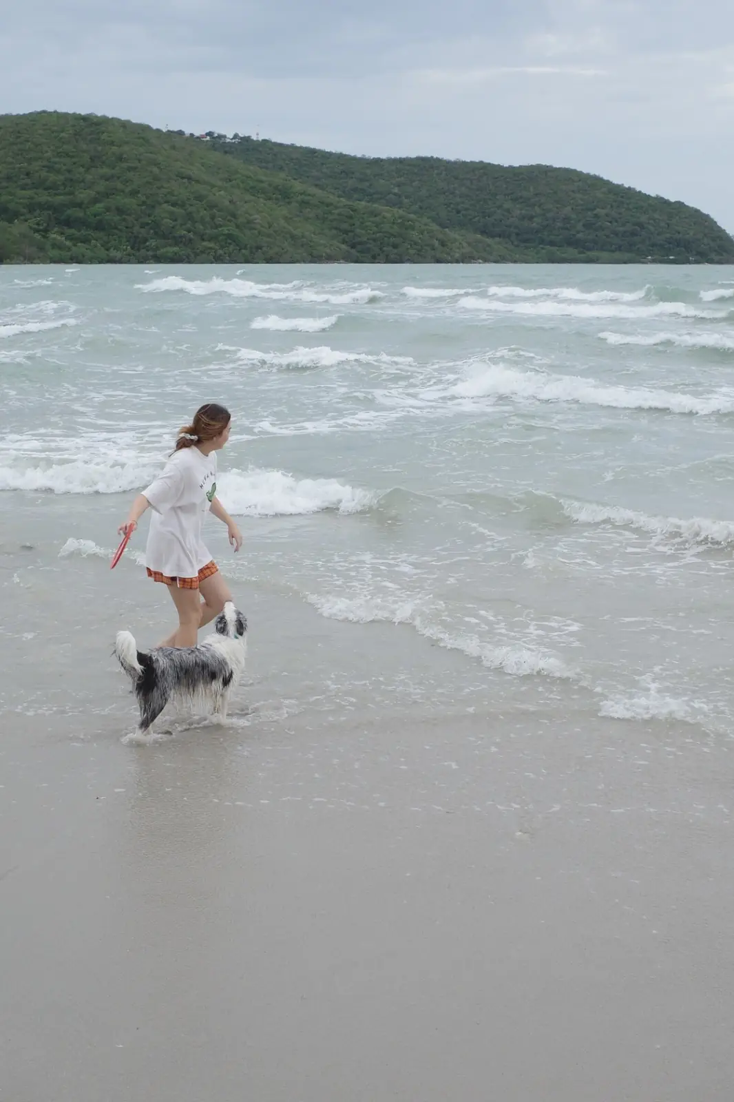 อ่าวนาวิกโยธิน หาดเตยงาม pets image 8