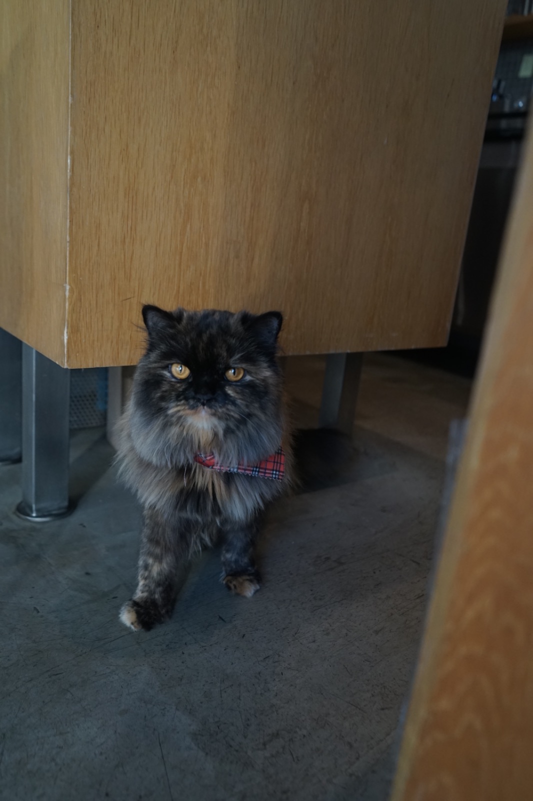 Ballad Coffee Bar overall image 3