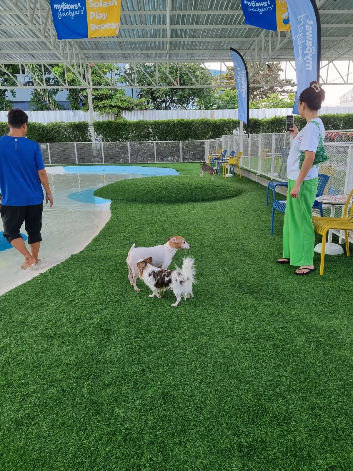 My Paws Backyard hero image 2