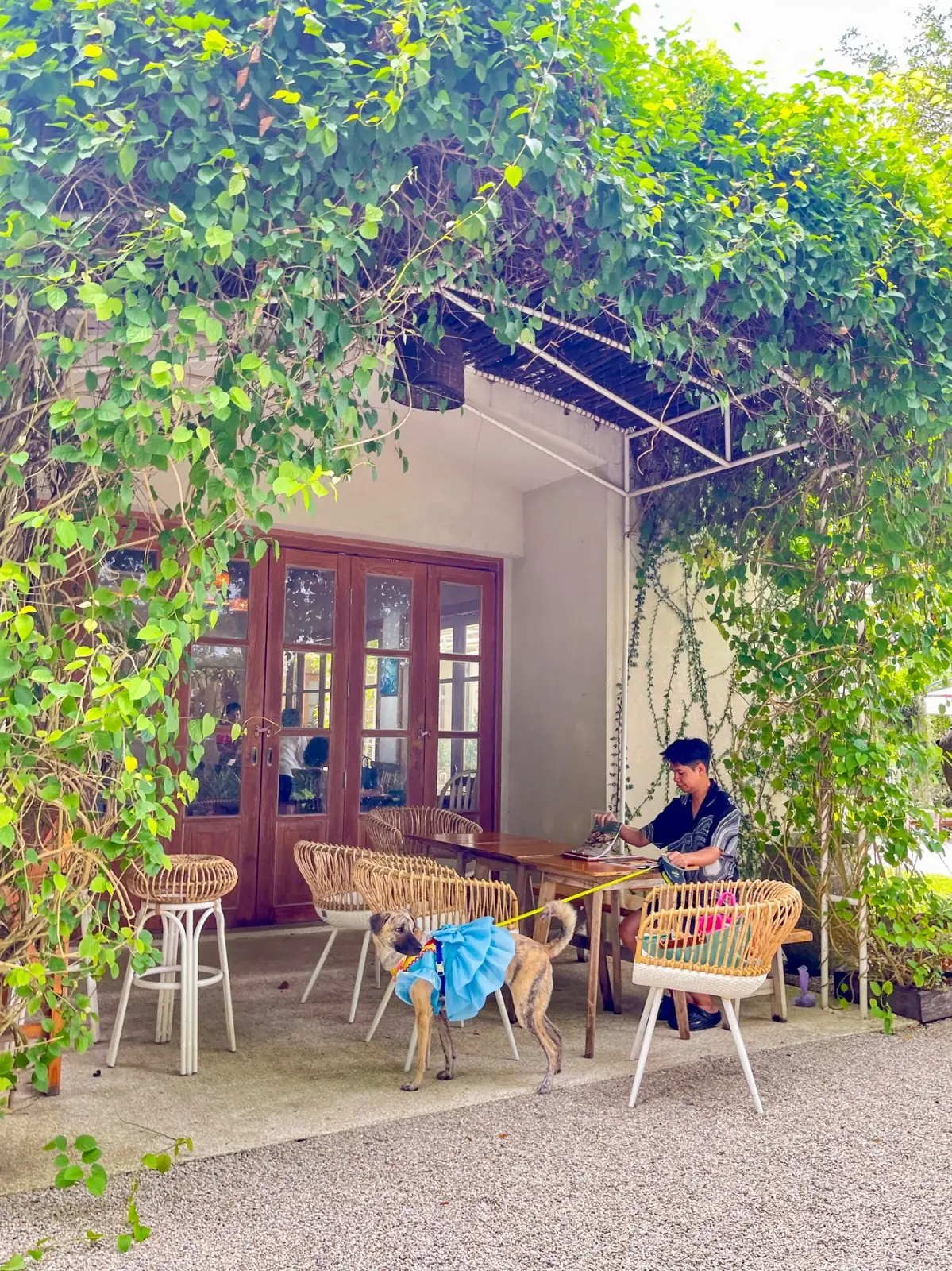 Humble Farm Kitchen ambiance image 1