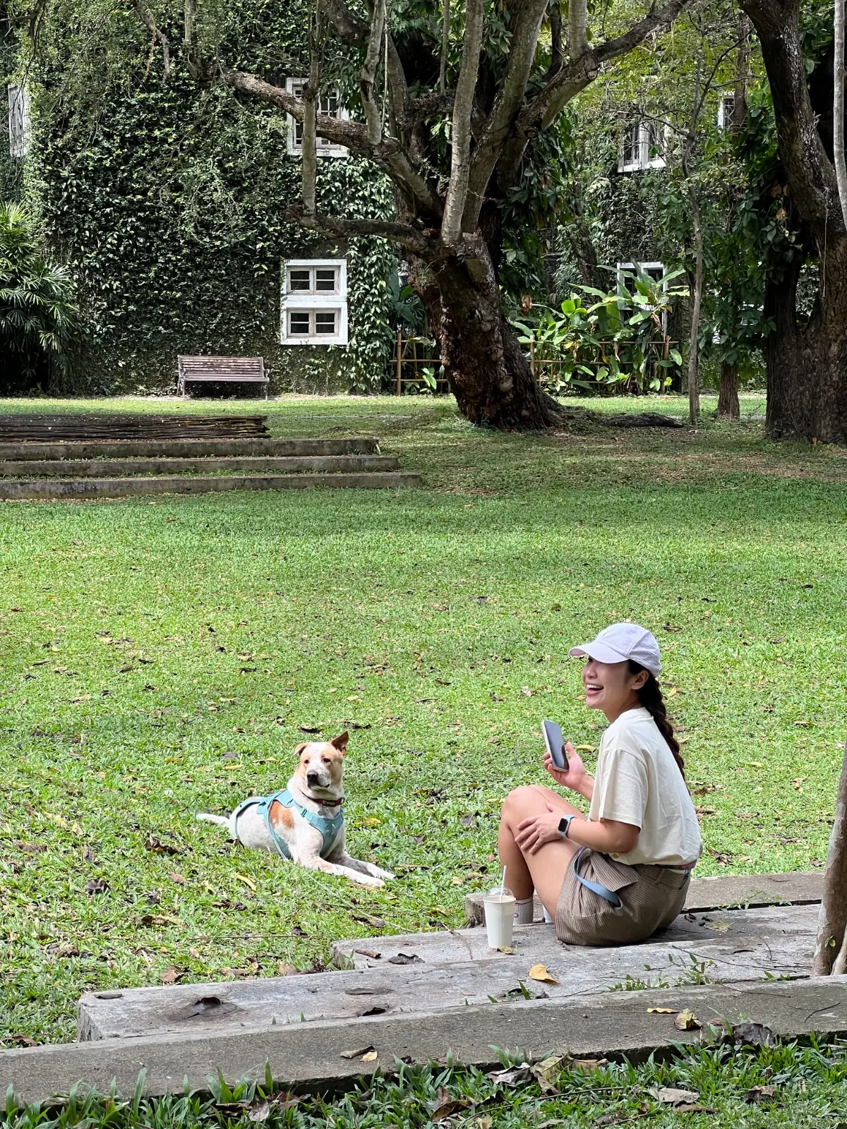 Café โรงบ่ม pets image 2