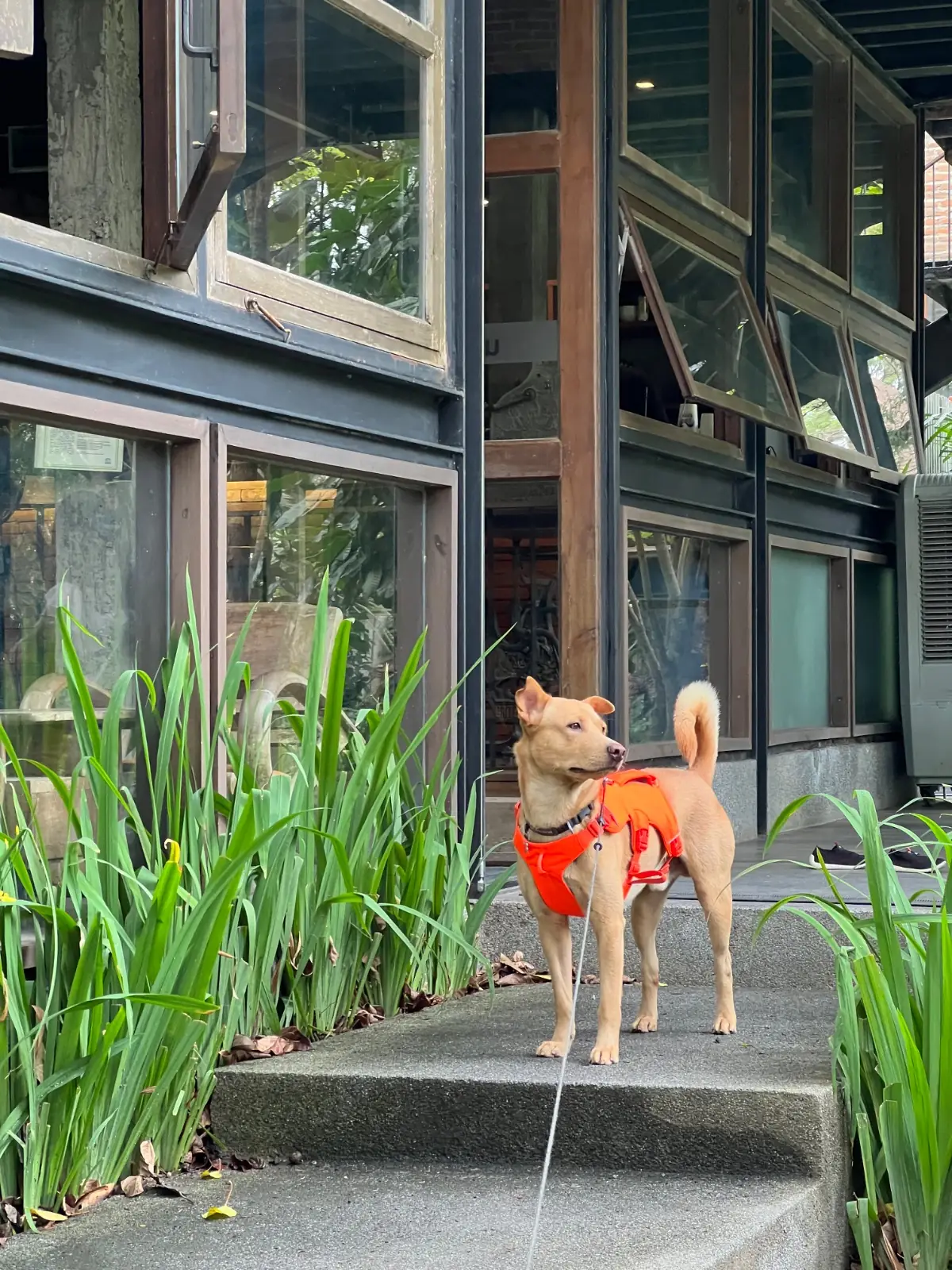 Café โรงบ่ม pets image 3