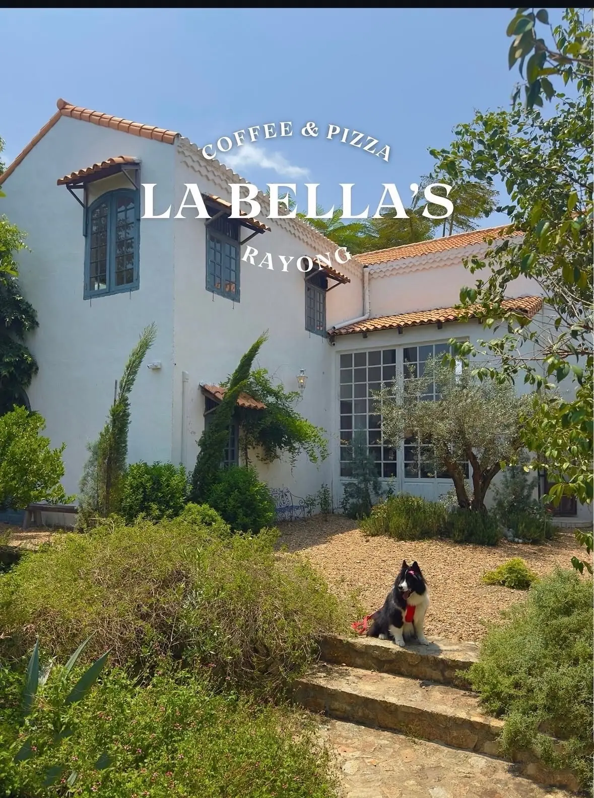 La bella's overall image 1