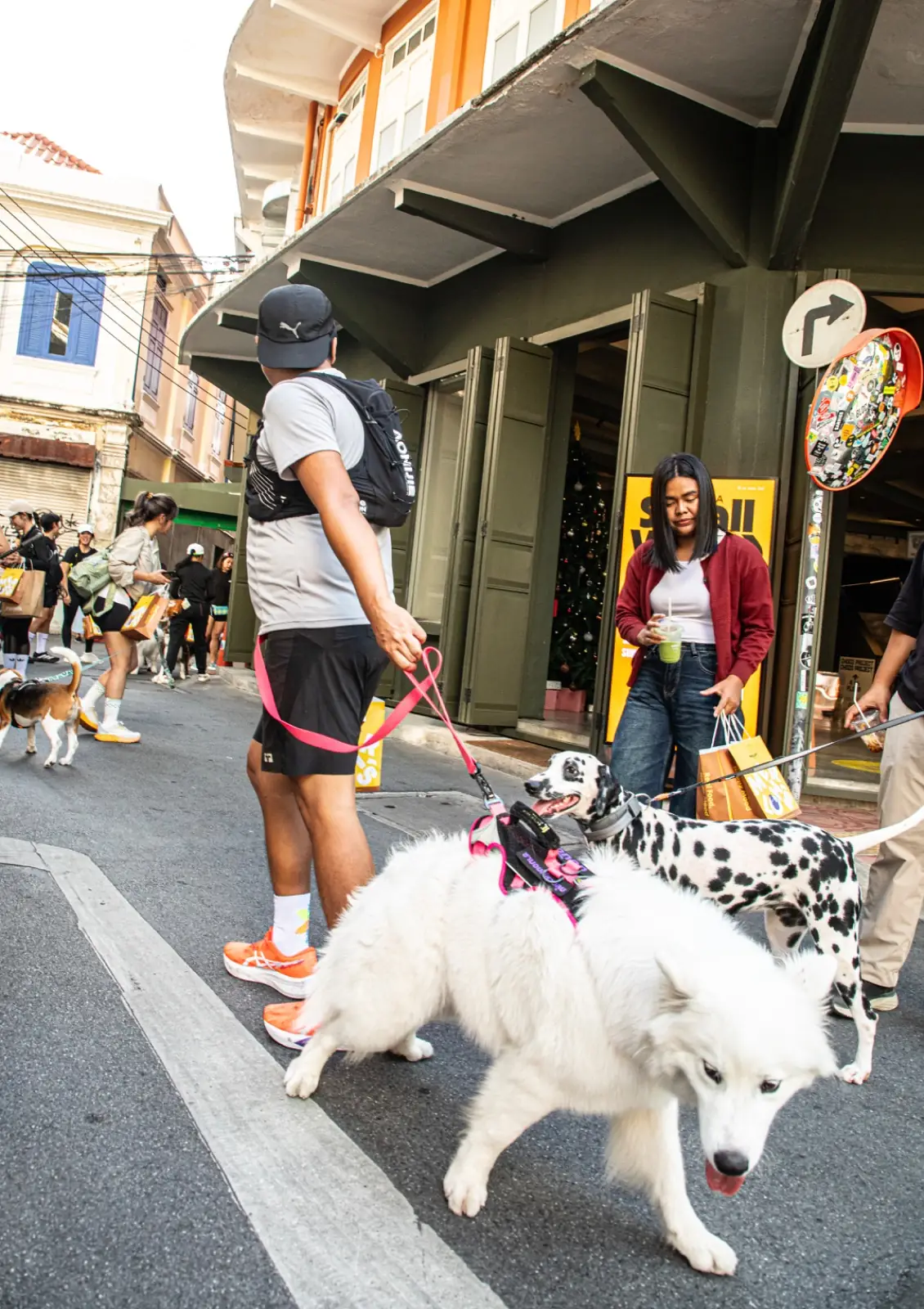 The Corner House Bangkok pets image 1