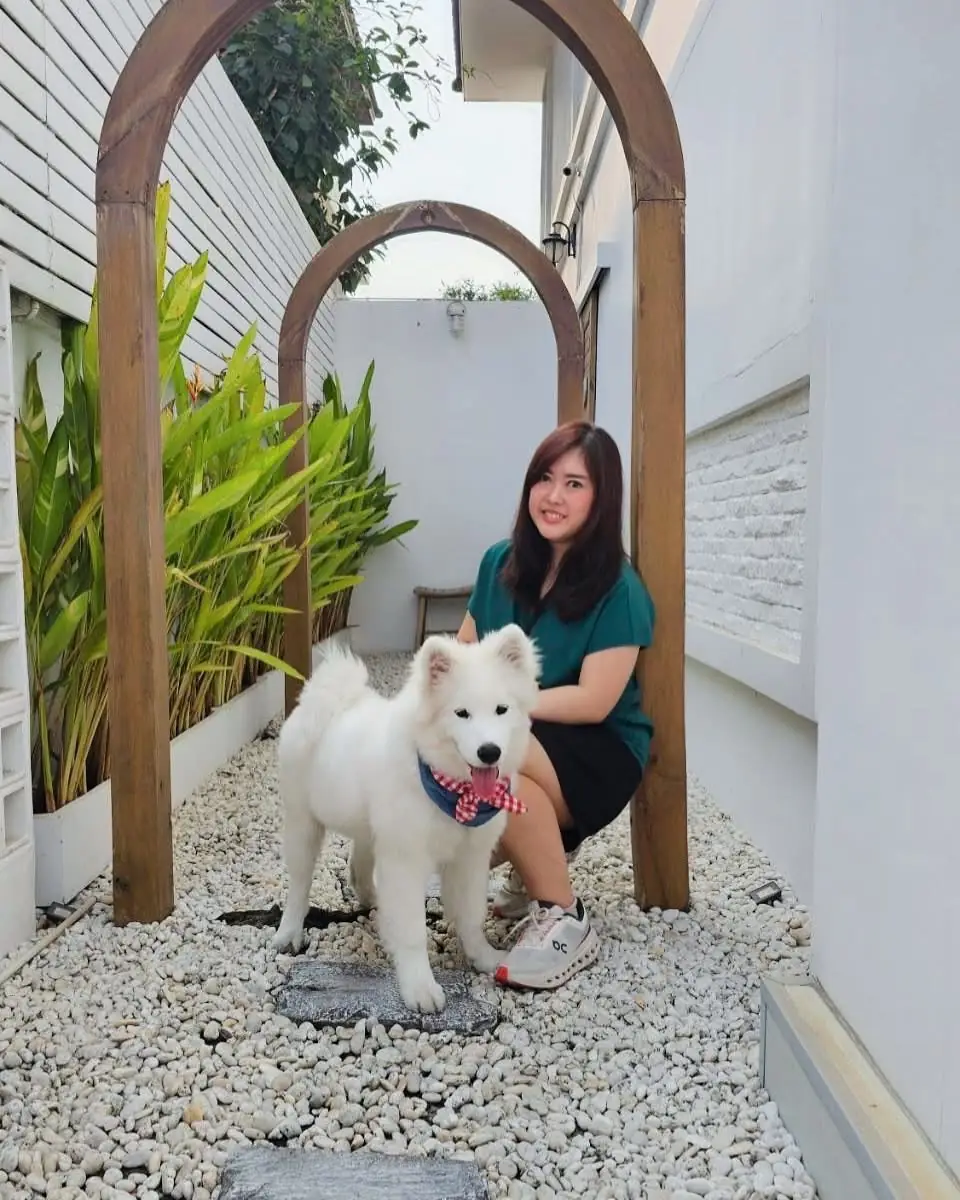 Jeji Cafe & Dessert Shop overall image 2