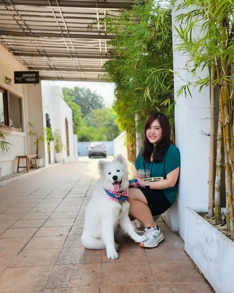 Jeji Cafe & Dessert Shop overall image 1