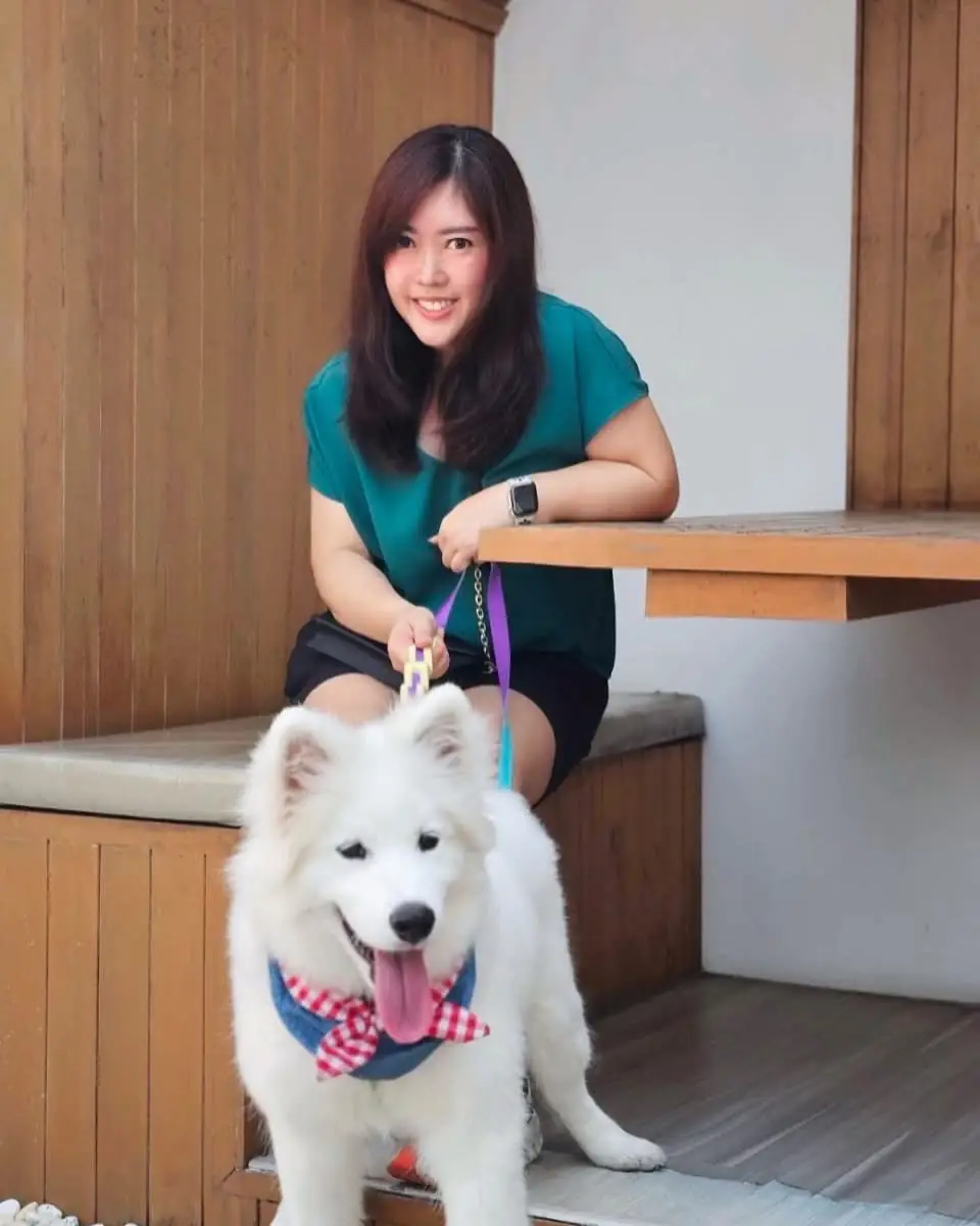 Jeji Cafe & Dessert Shop pets image 6