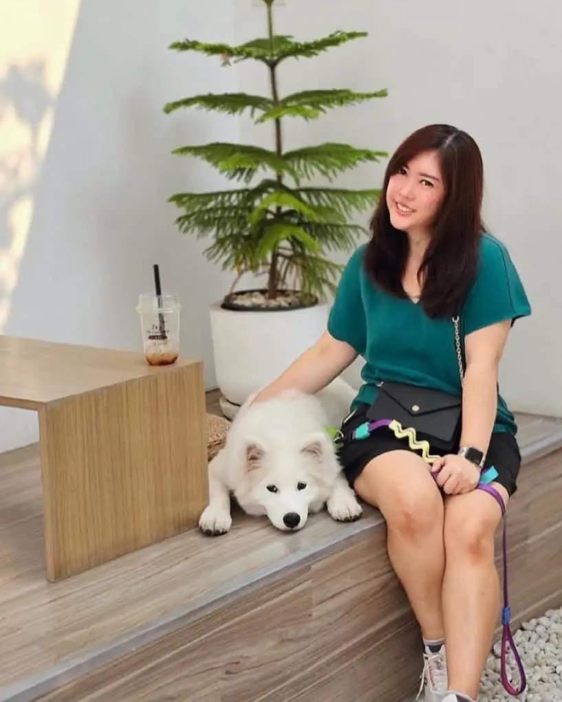 Jeji Cafe & Dessert Shop pets image 8